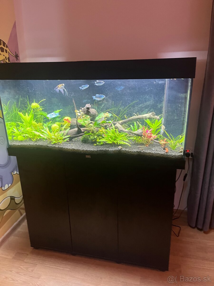 Akvarium