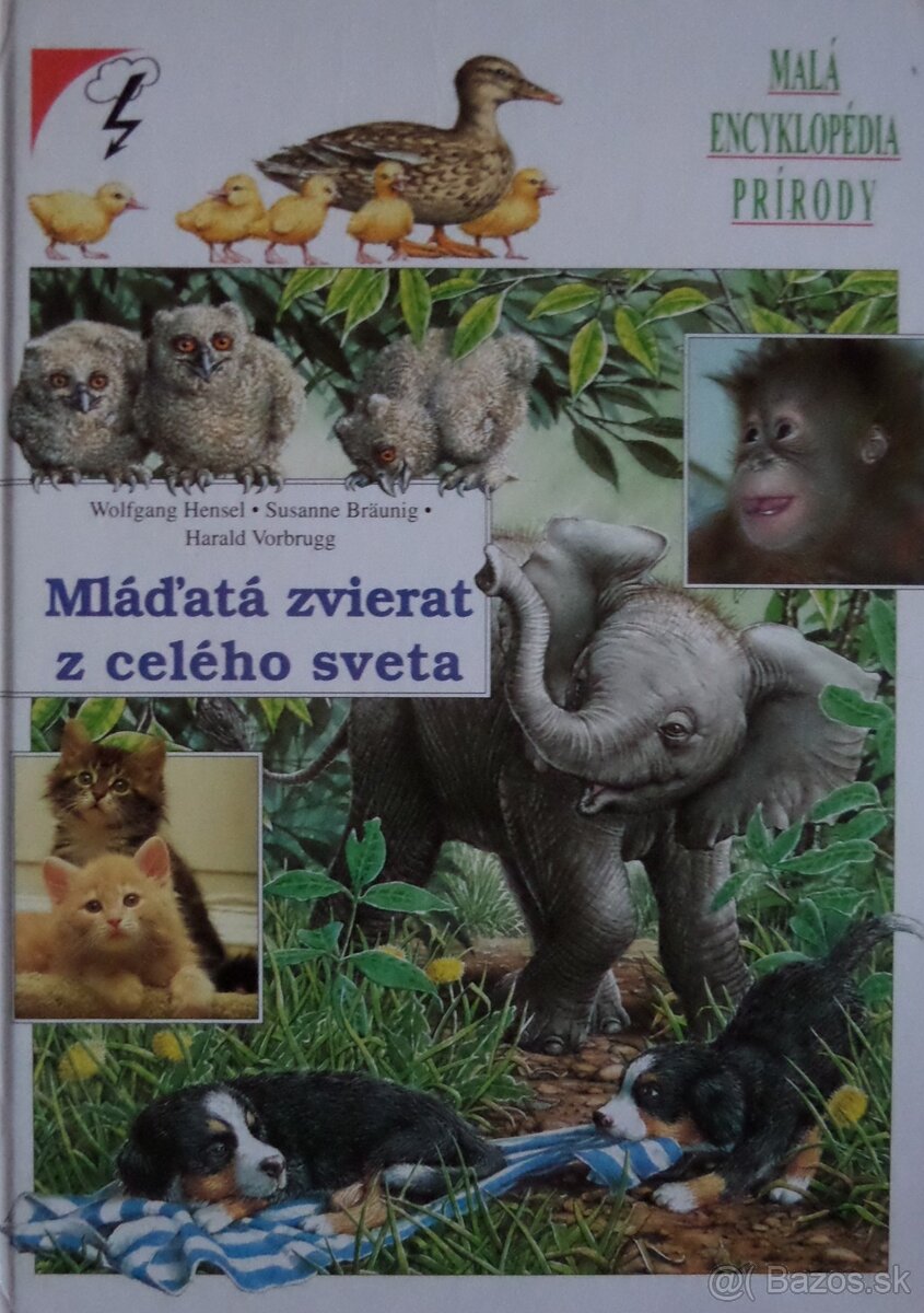 Mláďatá zvierat z celého sveta