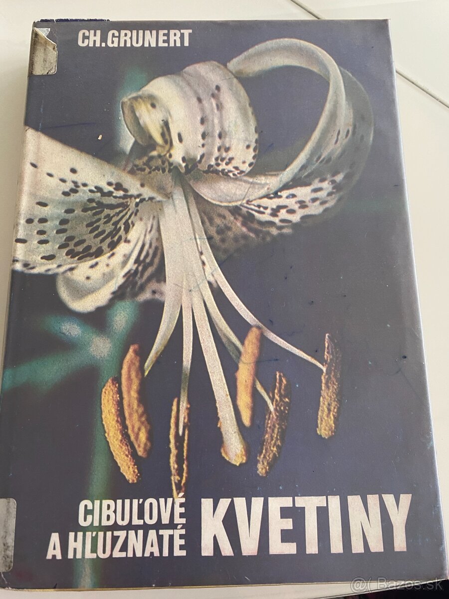 Grunerd – Cibuľové a hľuznaté kvetiny