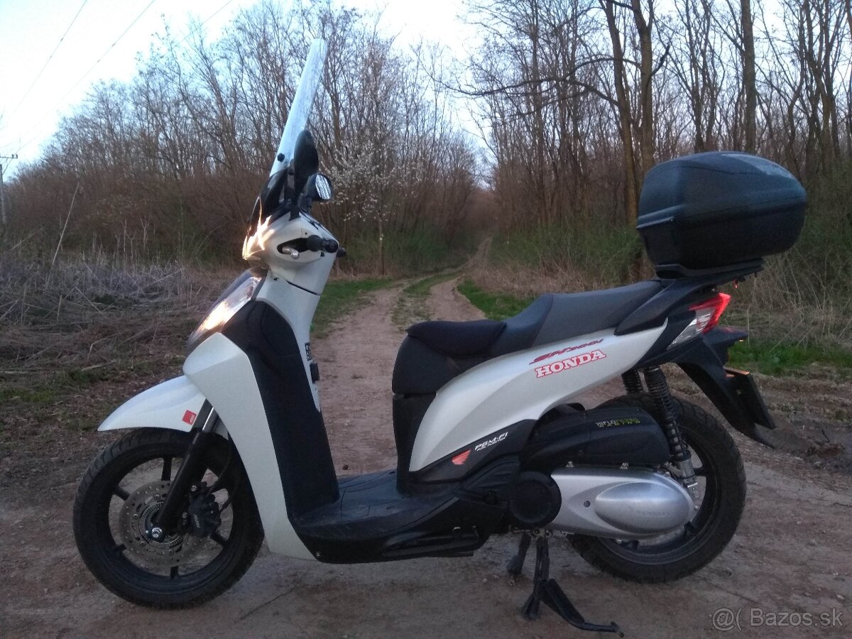 HONDA SH300i sport -kup v SR