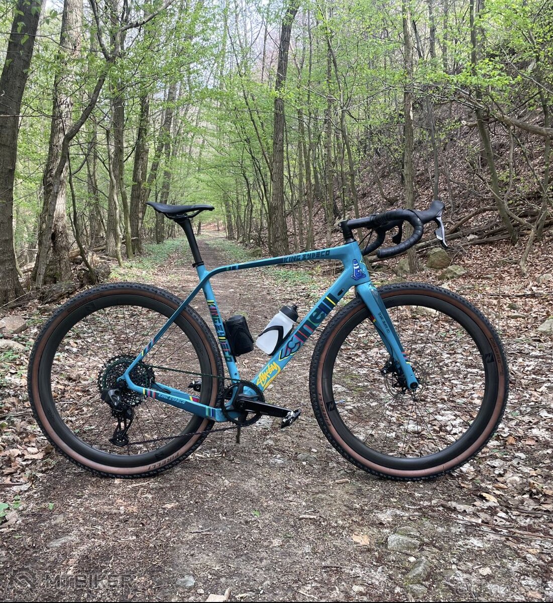 Cinelli king zydeco