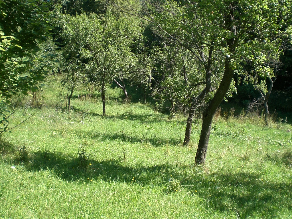 STAVEBNÝ POZEMOK PRI POTOKU 1963 m2 BRESTOVEC okres MYJAVA