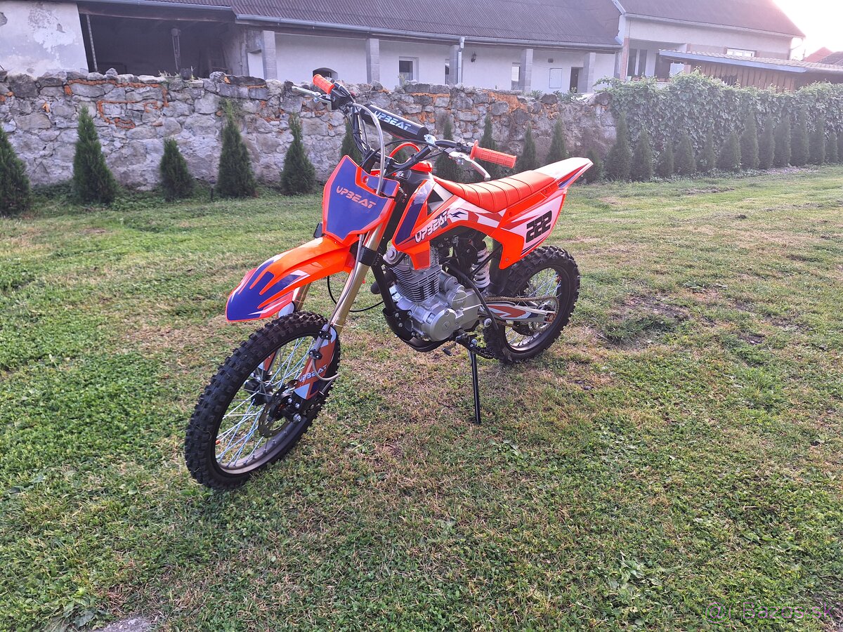 Pitbike UPBEAT 250cc 19/16" E-START