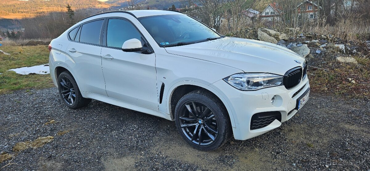 BMW X6 xDrive 4,0l 230kw Twin-PowerTurbo M-Packet