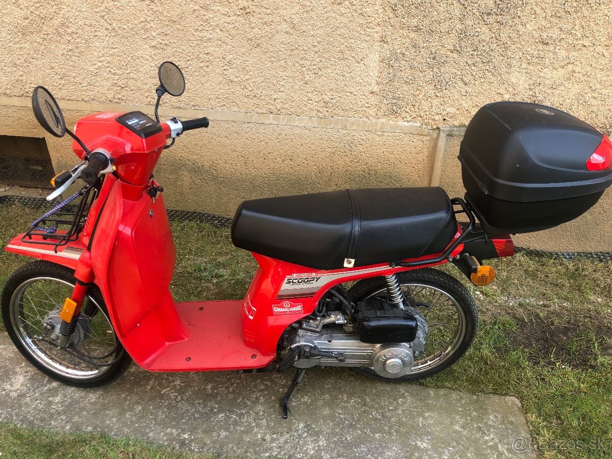 Honda Scoopy