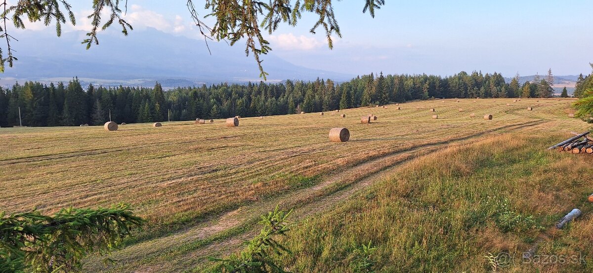 Lučne seno a slama