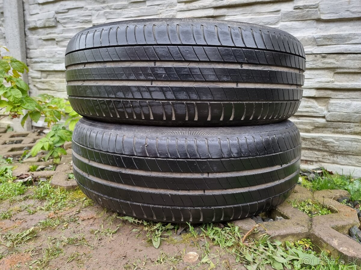 Letné Pneu Michelin 205/55 R19