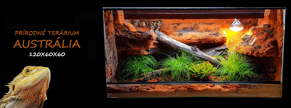 Terarium 120x60x60 prírodné