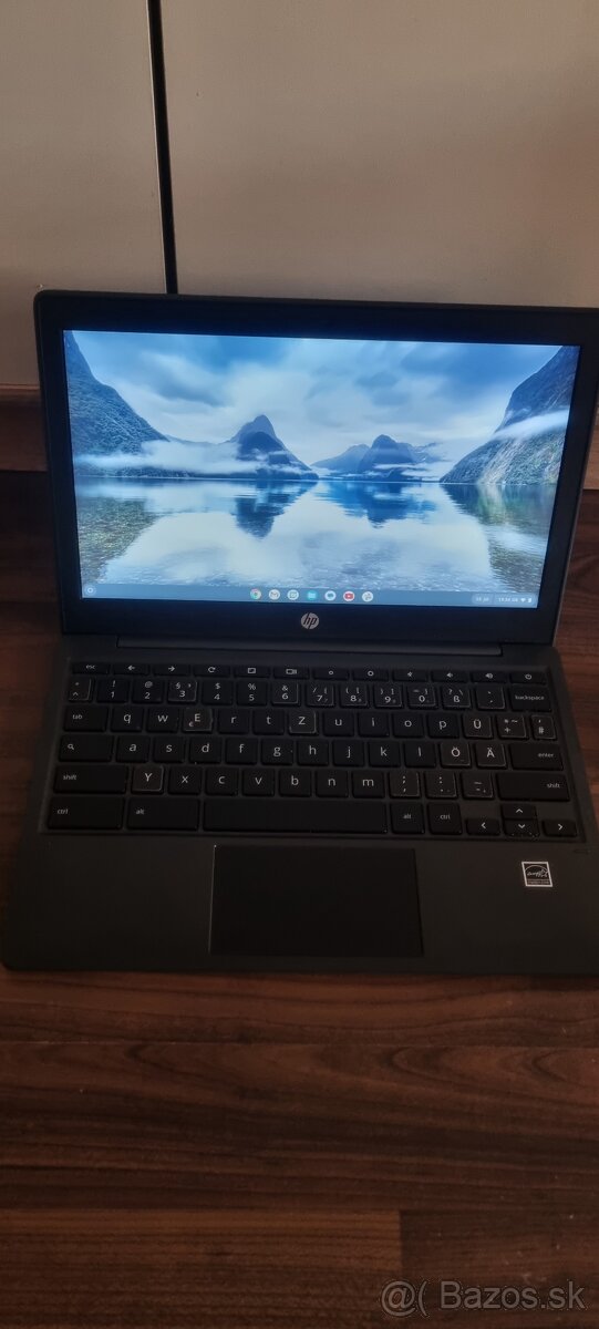 HP CHROMEBOOK