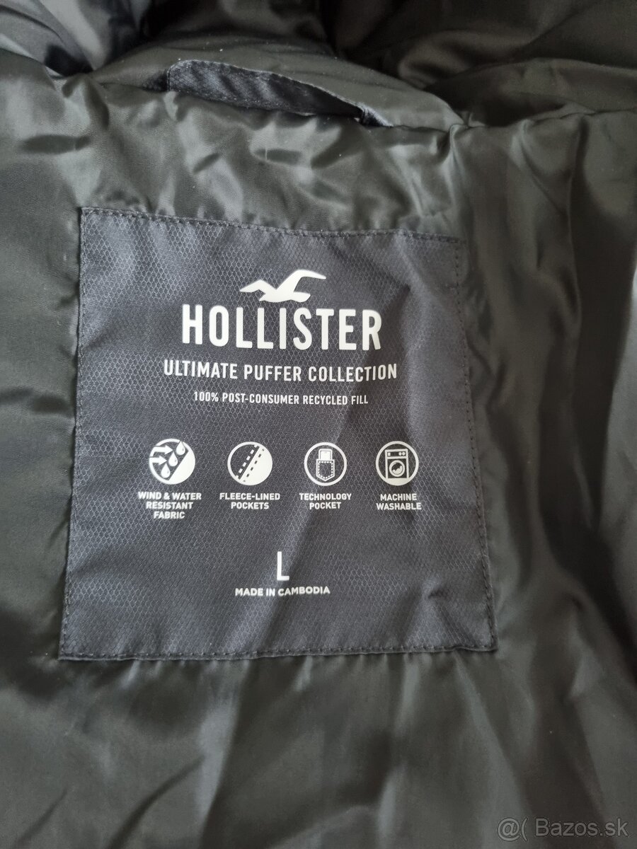 Hollister pansky kabat