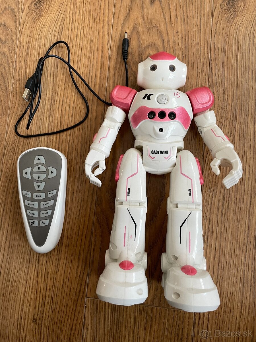 Interaktívny robot Cady Wida