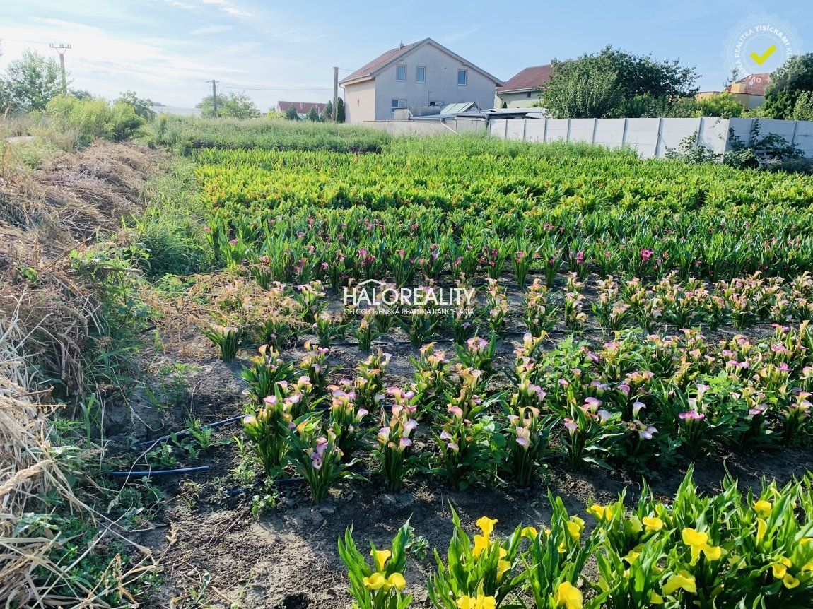 HALO reality - Predaj, pozemok pre rodinný dom   500 m2 Ture