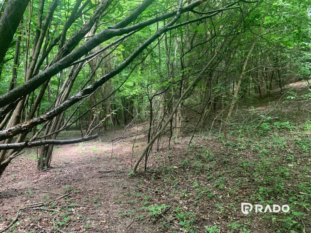 RADO | Na predaj pozemok v obci Beckov