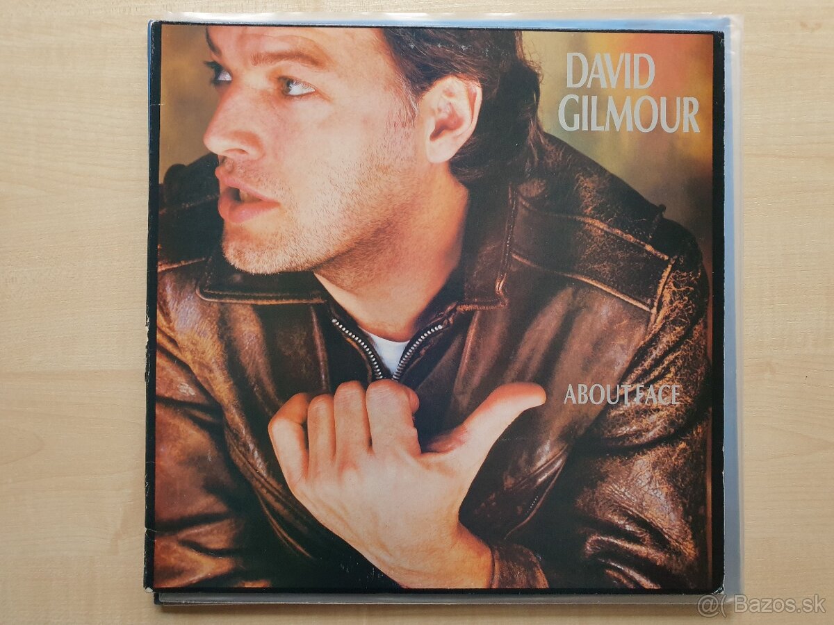 David Gilmour LPs (Pink Floyd)