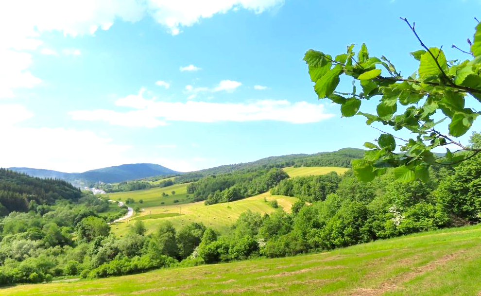 Medzilaborce - 66.000 m2 ORNÁ PÔDA, INVESTIČNÁ PRÍLEŽITOSŤ