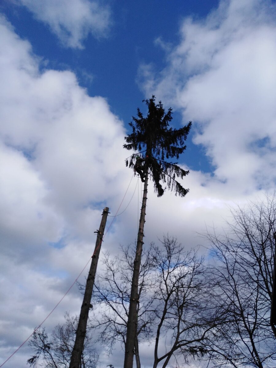 Výrub stromov, pílenie stromov, rizikové pílenie