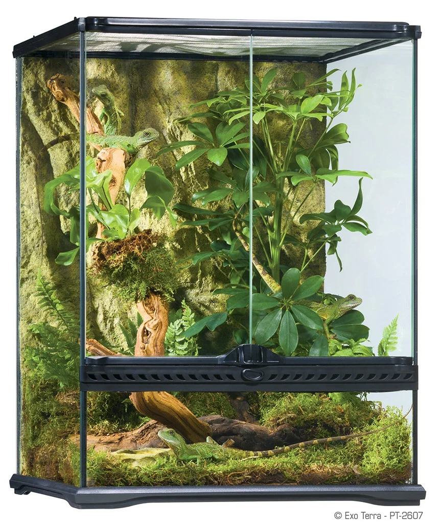 predam exo terra terarium