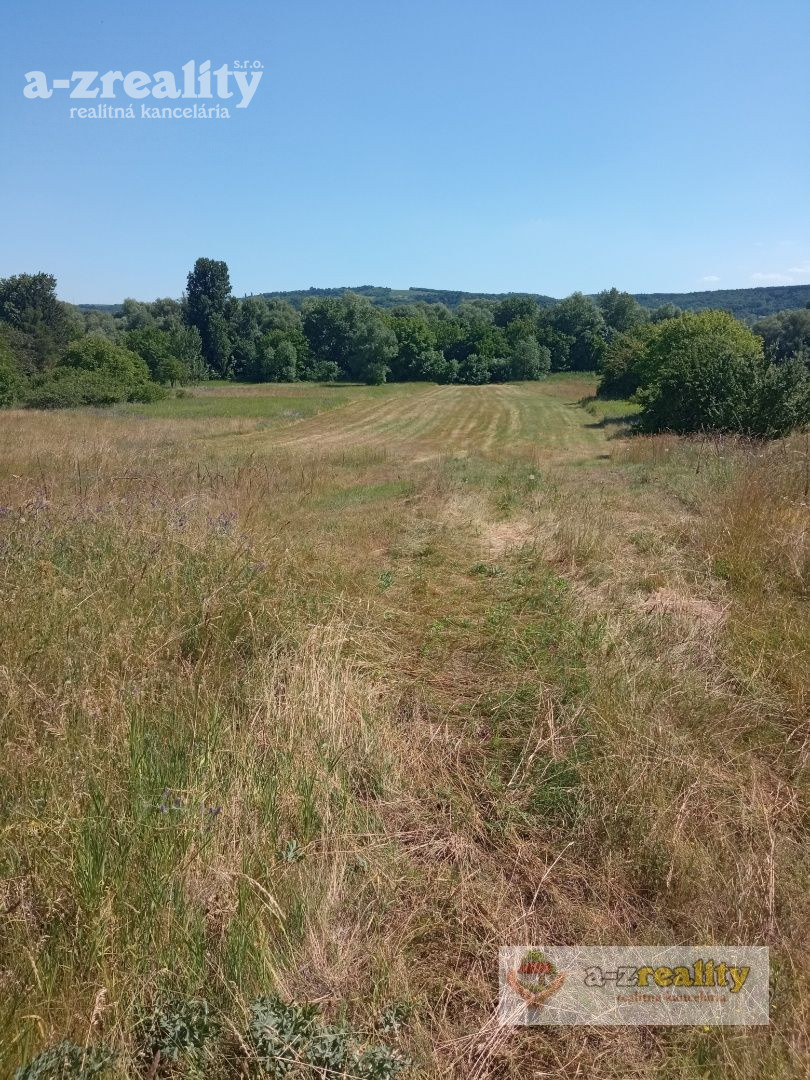 Predávame na predaj veľký pozemok v Radvani nad Dunajom