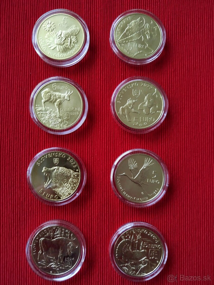 5 euro mince