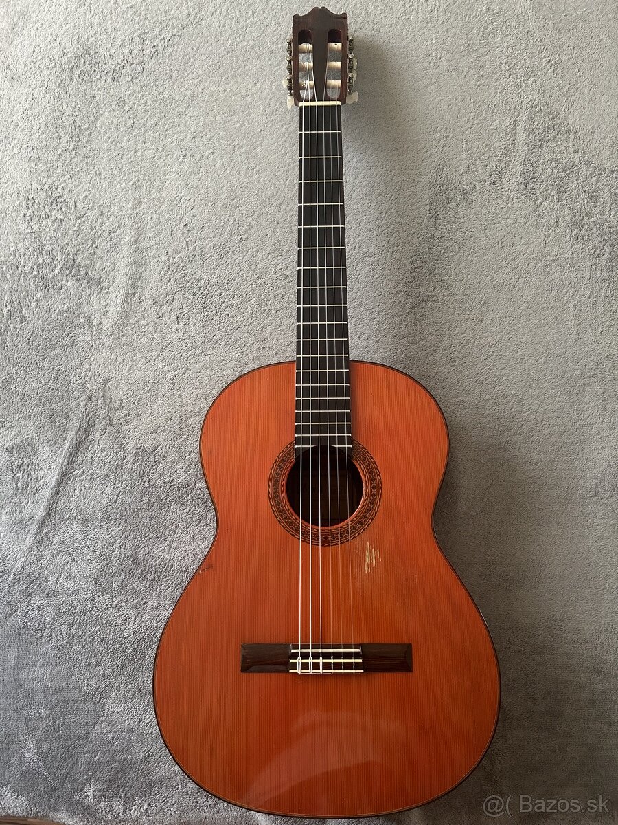 Ibanez Andorra 2855