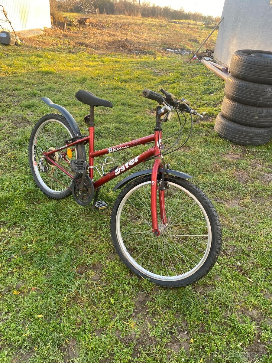 Horský bicykel