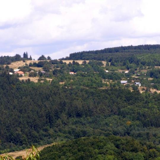 PREDAJ  Lesné pozemky v katastry Stará Huta