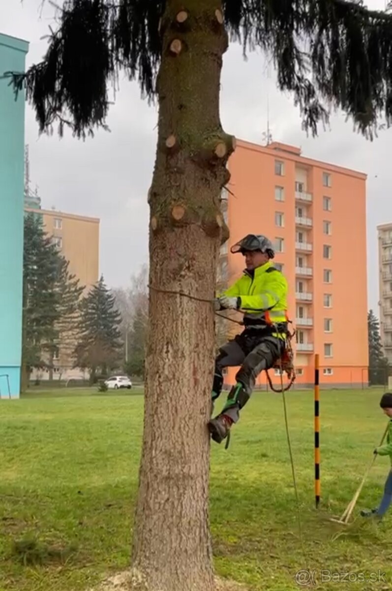 Výrub opilovanie a úpravy stromov