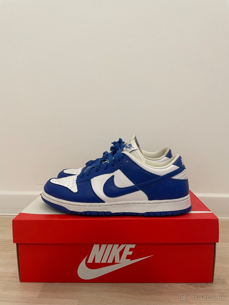 Nike Dunk Low Kentucky 43