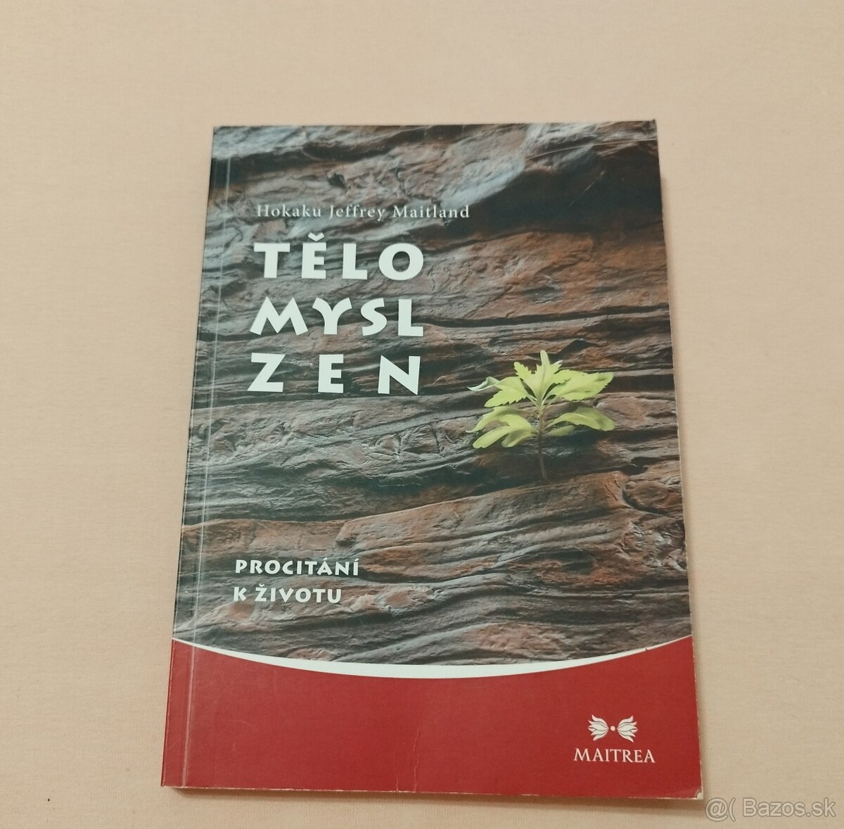 Telo, myseľ, zen CZ