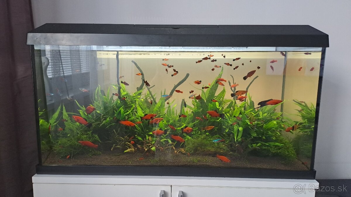 Akvarium Juwel