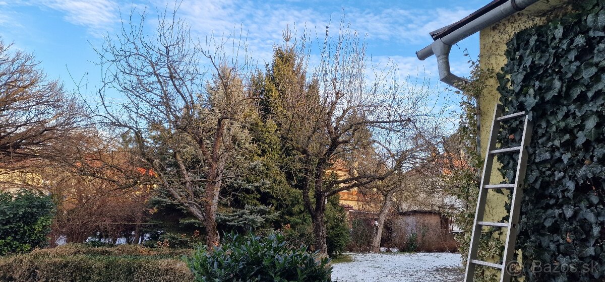 Ponúkam  ZÁHRADNÍCKE SLUŽBY