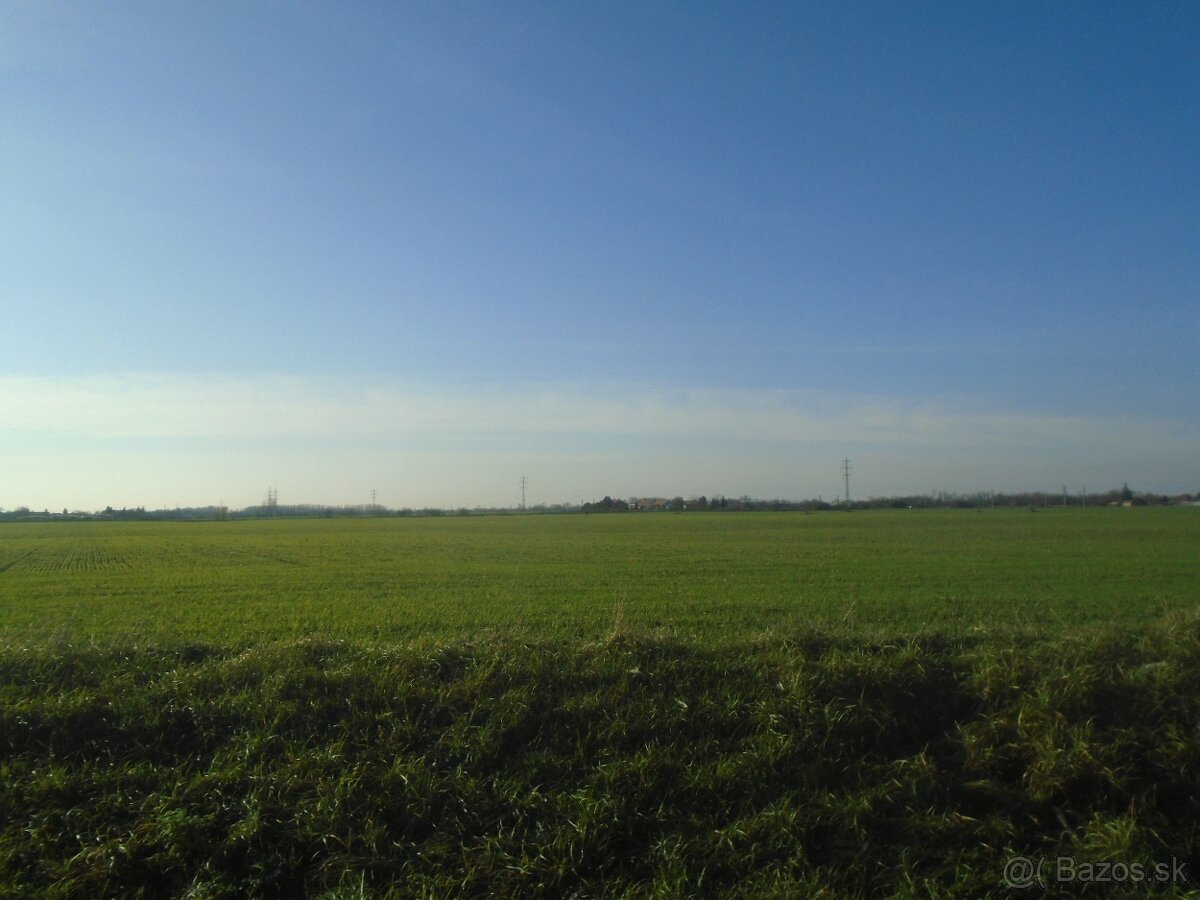 Na predaj orná pôda v okrese Dunajská Streda