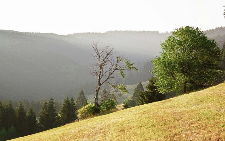 Investičné pozemky Košice Krásna nad Hornádom