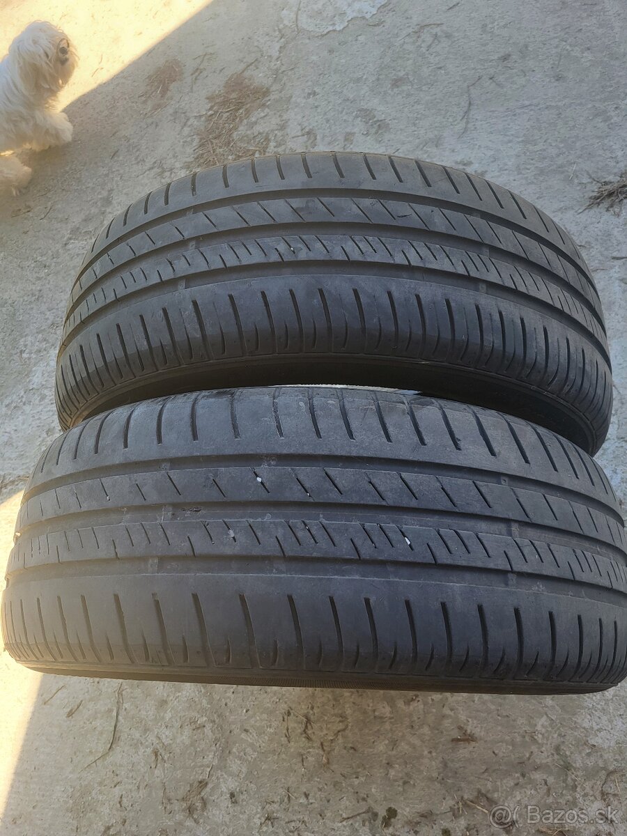 Letné Nexen 205/55R16