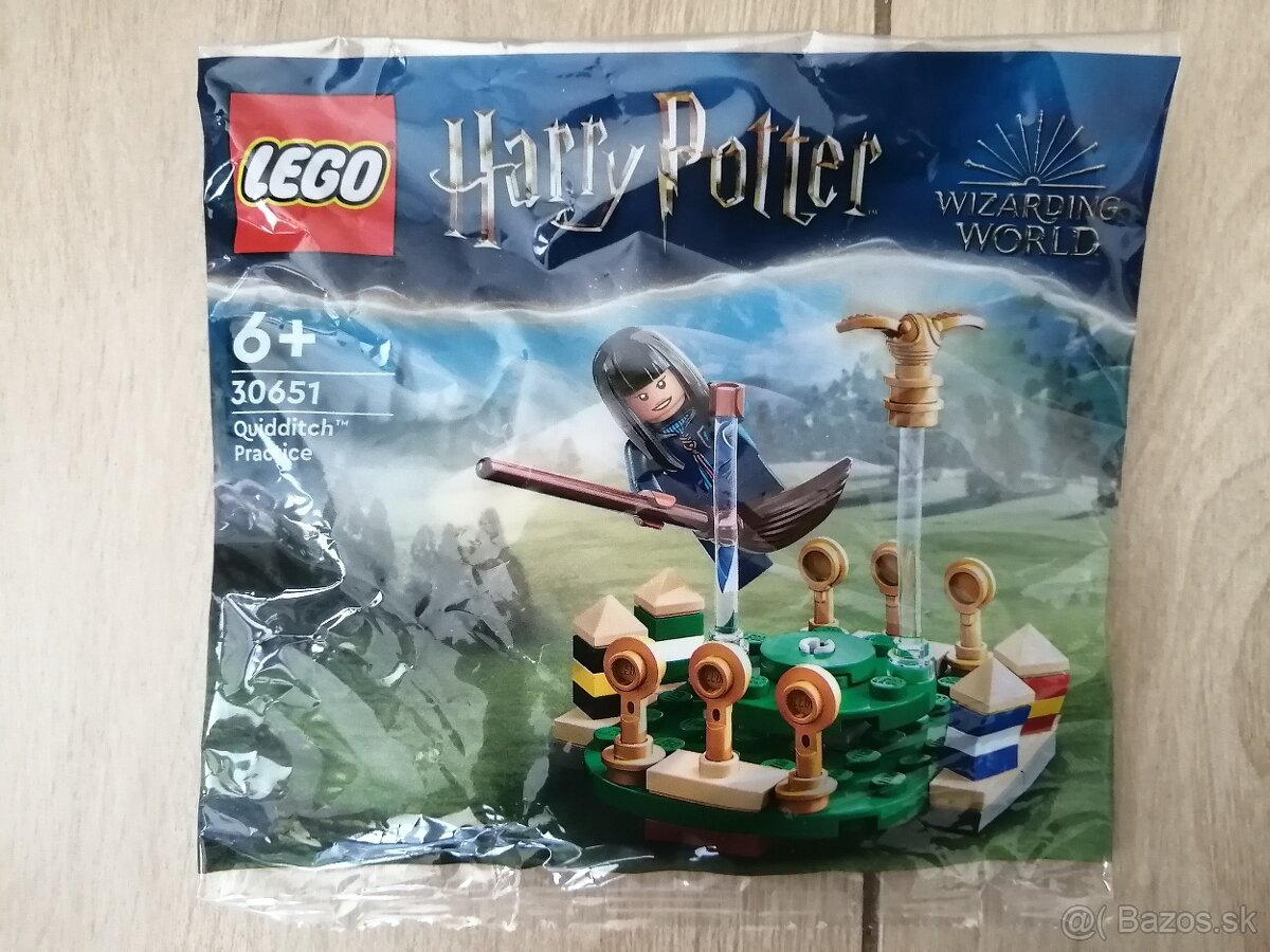 LEGO polybag 30651