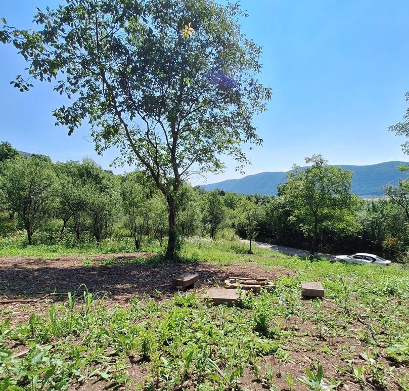 Rekreačný pozemok Jablonov nad Turňou (386m2)