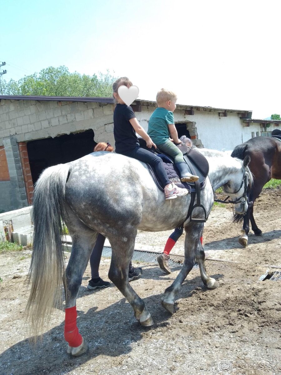 Ponuka na polovičný prenájom