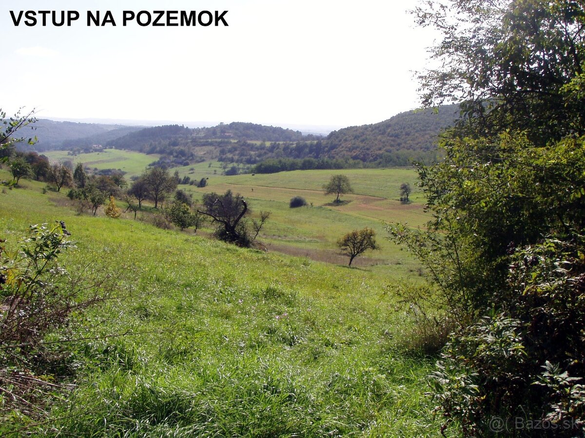 Predaj pozemku Krupina - Červená Hora 5254 m2