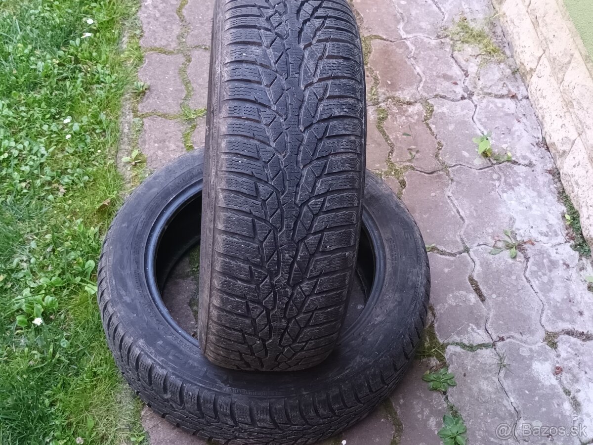 Predam Nokian WR D4 195/55R16