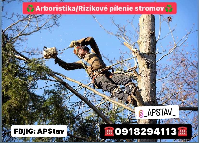 Arboristika /Rizikové pílenie stromov /Výrub stromov