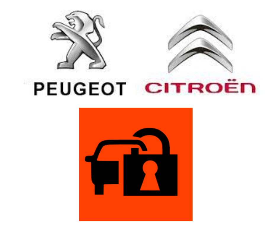 Vypnutie/oprava imobilizéra Peugeot Citroen DS