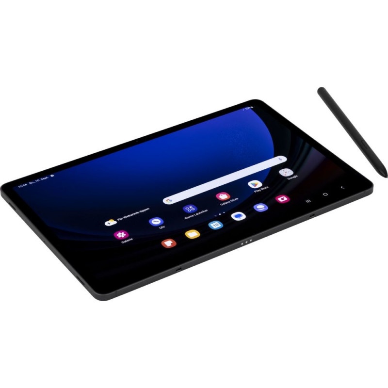 Galaxy Tab S9 LTE / 256 GB / 12 GB