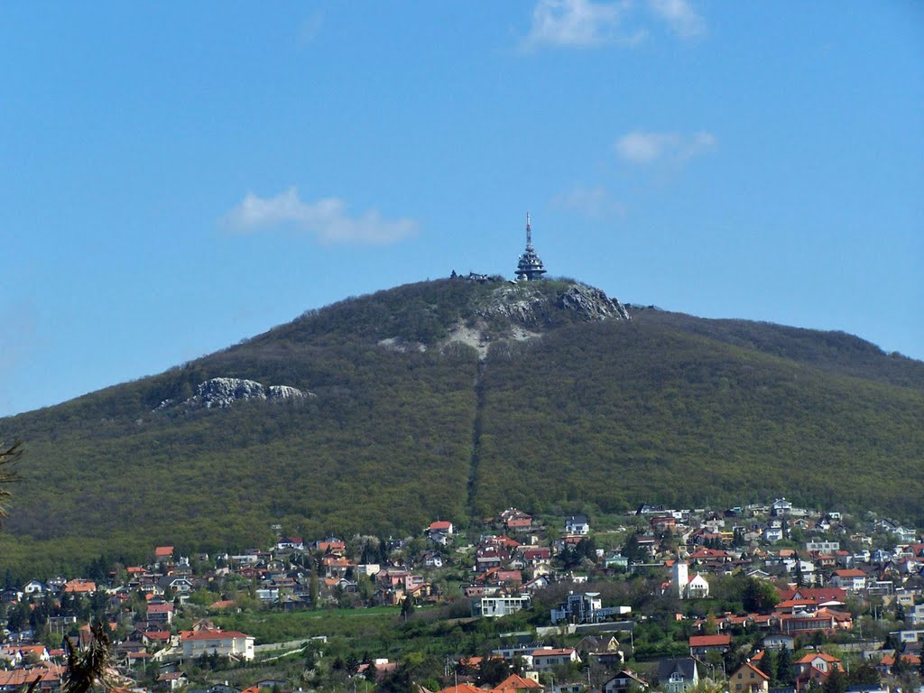 EXKLUZÍVNE, lukratívny stav.pozemok Zobor-Hornozoborská ul.