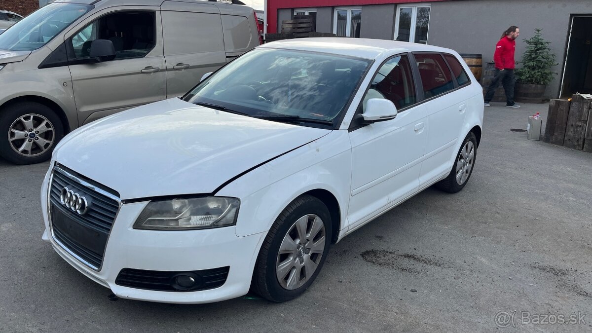 191.Audi A3 8P 1.9 TDI BLS Na náhradní díly