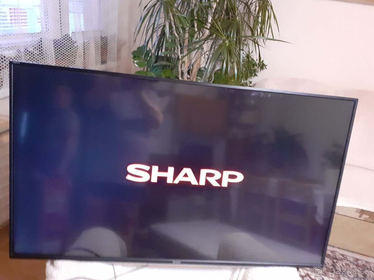 SHARP 123CM.