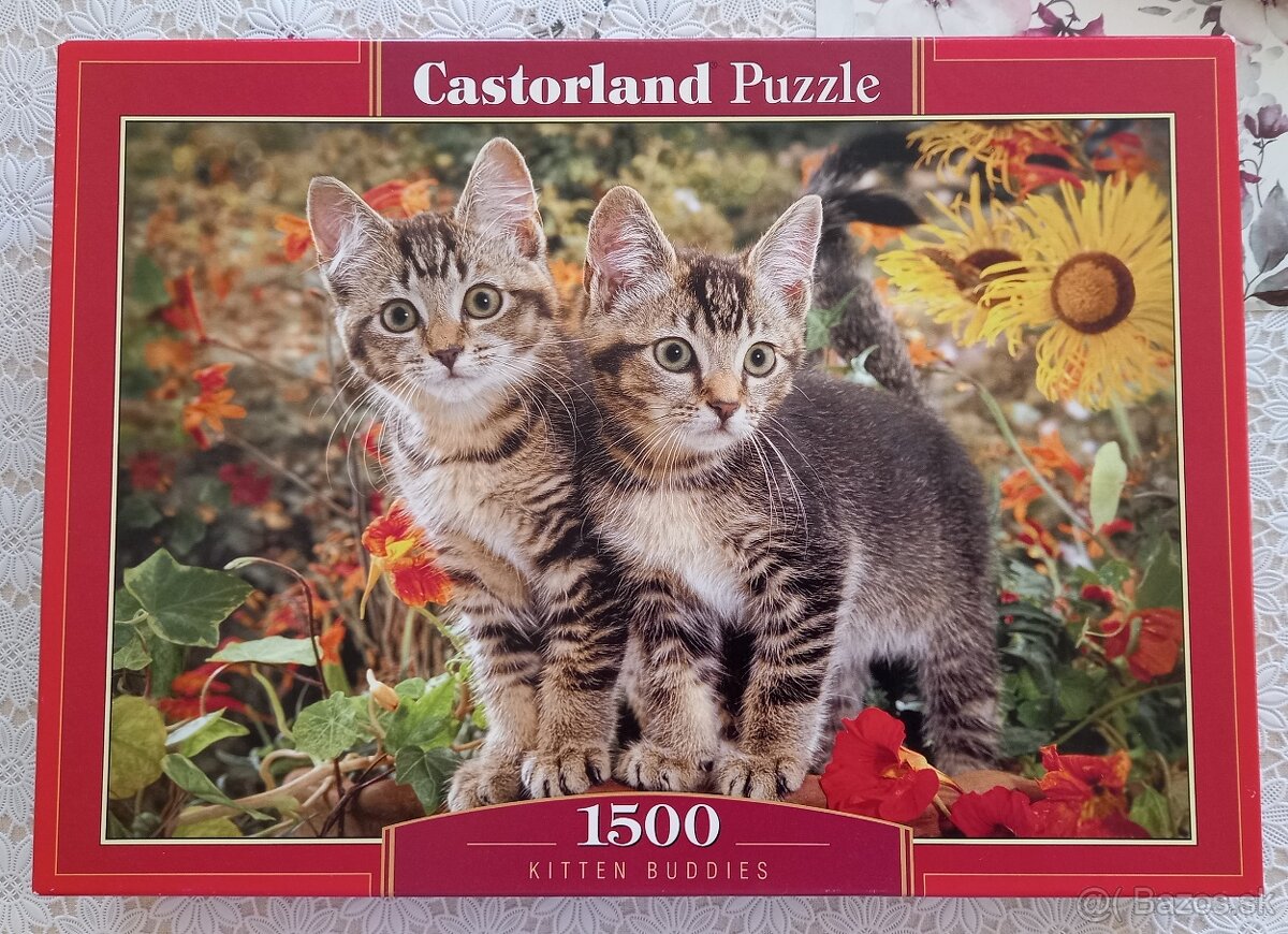 Puzzle Castorland - Kitten Buddies 1500