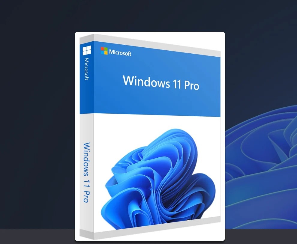 Windows 11/10 Pro licencia