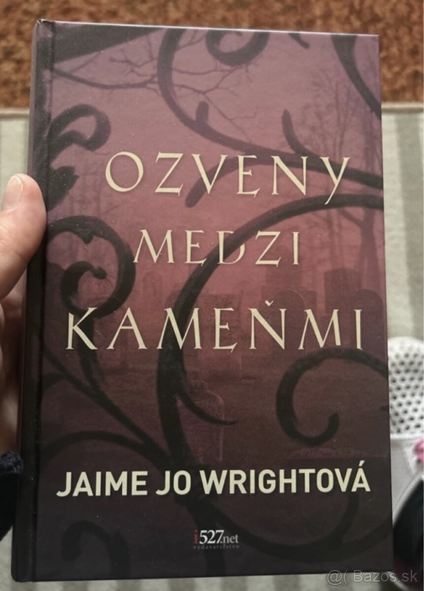 Kniha - ozveny medzi kameňmi