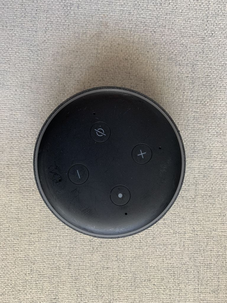 predam Amazon Echo