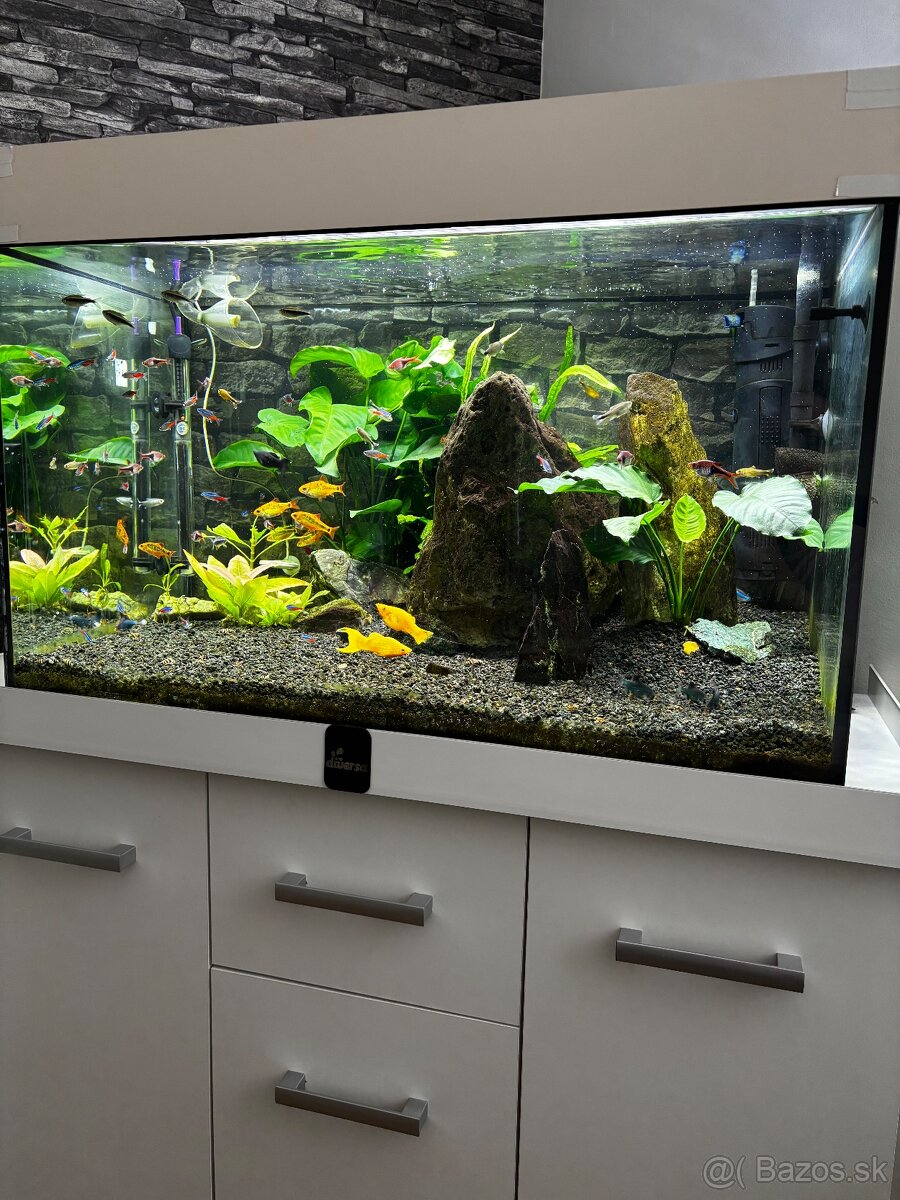 Predam akvarium